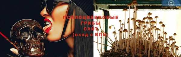 spice Баксан