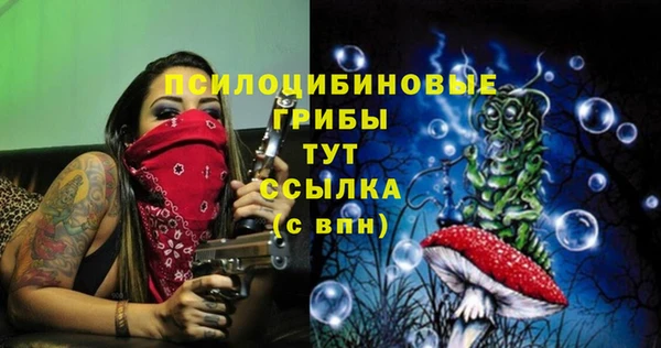 spice Баксан