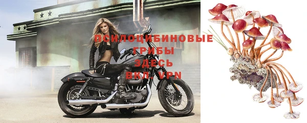 соль курить ск Балабаново